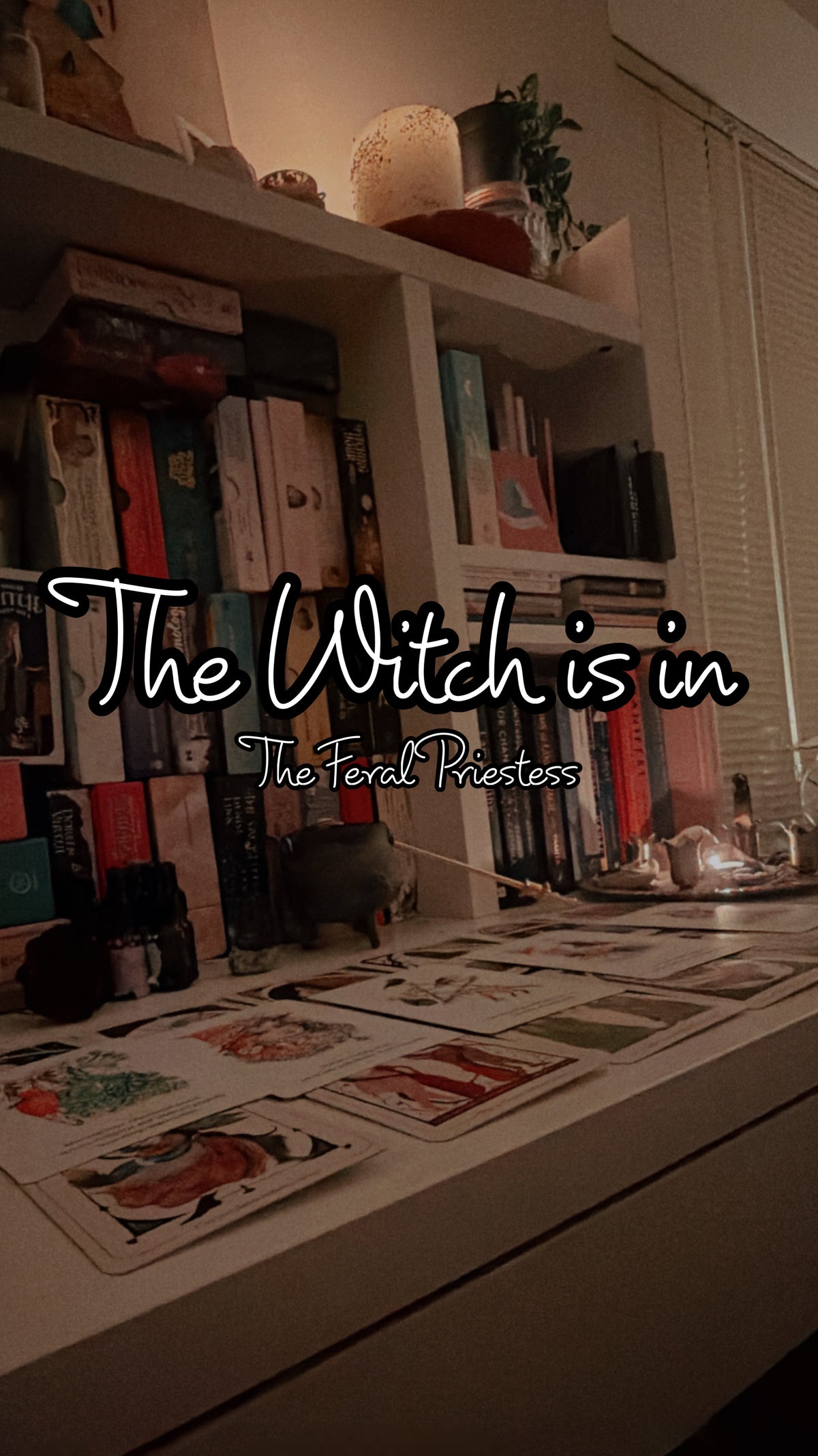 Current Energy Check-In (Prerecorded Video Reading)
