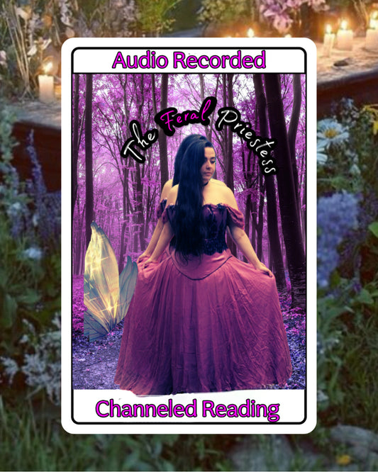 Tarot & Energy Reading (Recorded Channeled Audio)